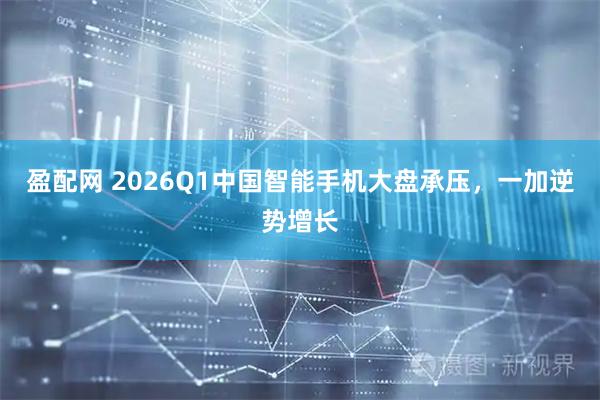 盈配网 2026Q1中国智能手机大盘承压，一加逆势增长