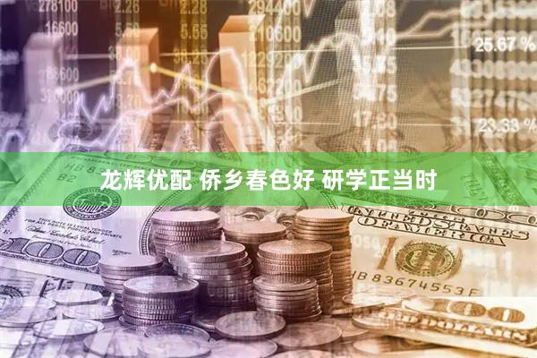 龙辉优配 侨乡春色好 研学正当时