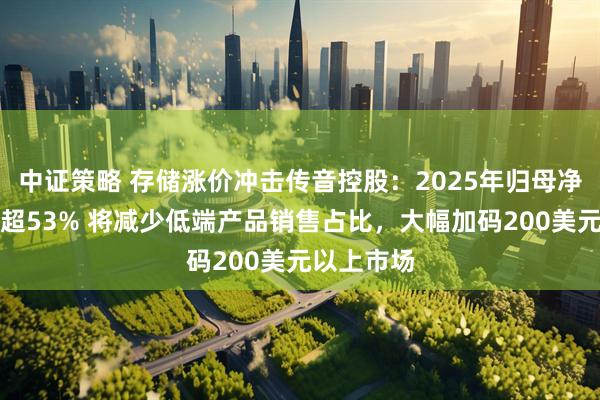 中证策略 存储涨价冲击传音控股：2025年归母净利润下降超53% 将减少低端产品销售占比，大幅加码200美元以上市场