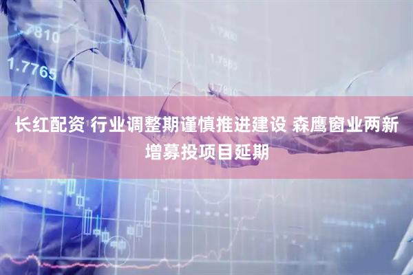 长红配资 行业调整期谨慎推进建设 森鹰窗业两新增募投项目延期