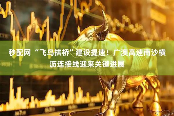 秒配网 “飞鸟拱桥”建设提速！广澳高速南沙横沥连接线迎来关键进展